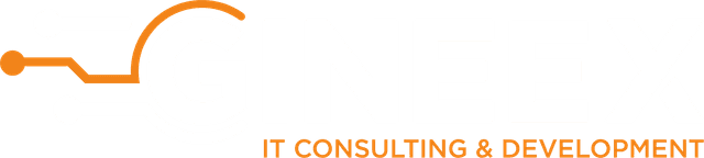 Gineex – IT Beratung & Entwicklung